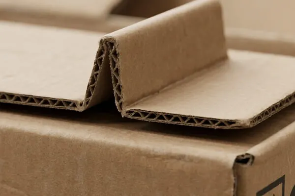 Packaging and Assembly