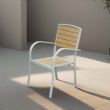Outdoor Wood-Plastic Composites Dining Chair - 11D11F