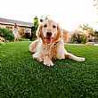 HF Patios Wholesale Outdoor Artificial Grass Turf Roll with PE PP Yarn, Rubber Backing and Drainage Holes - 80T02A