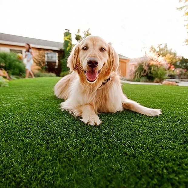 HF Patios Wholesale Outdoor Artificial Grass Turf Roll with PE PP Yarn, Rubber Backing and Drainage Holes - 80T02A
