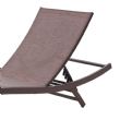 Iron Textilene Adjustable Lounge Chair - 11D14N